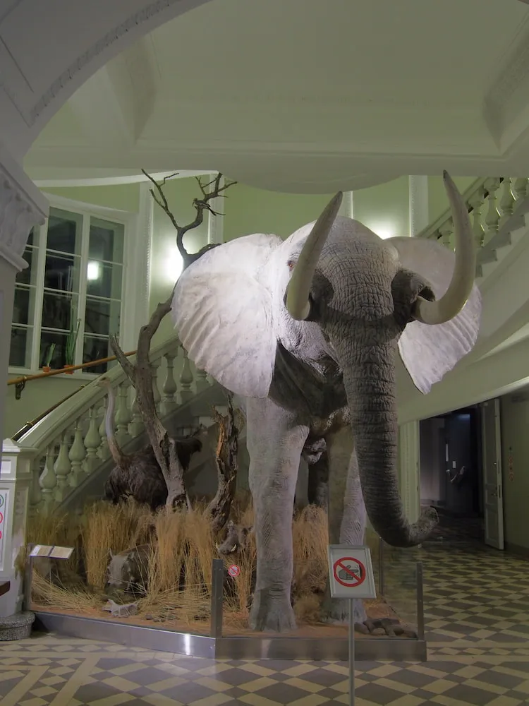 Etu-Töölö Etu-Töölö