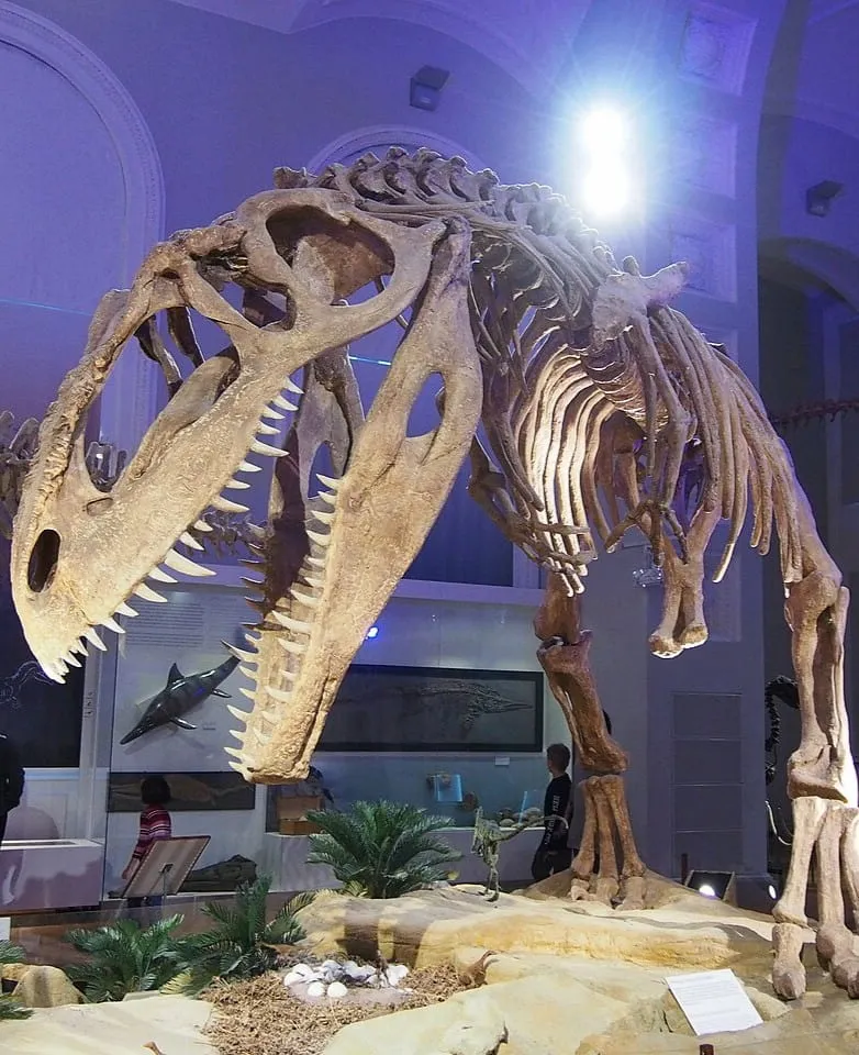 Etu-Töölö Etu-Töölö