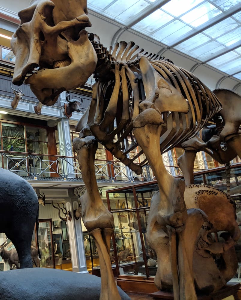 Natural History Museum Natural History Museum