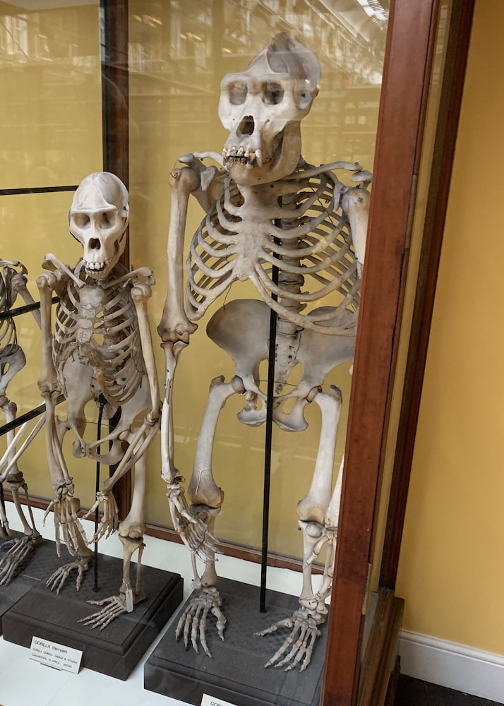 Natural History Museum Natural History Museum