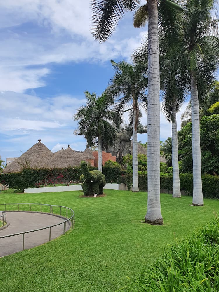 Jardín de Aclimatación de la Orotava Jardín de Aclimatación de la Orotava