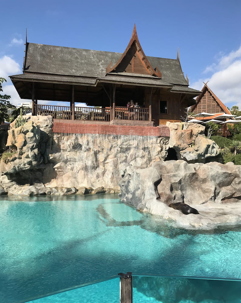 Loro Parque Loro Parque