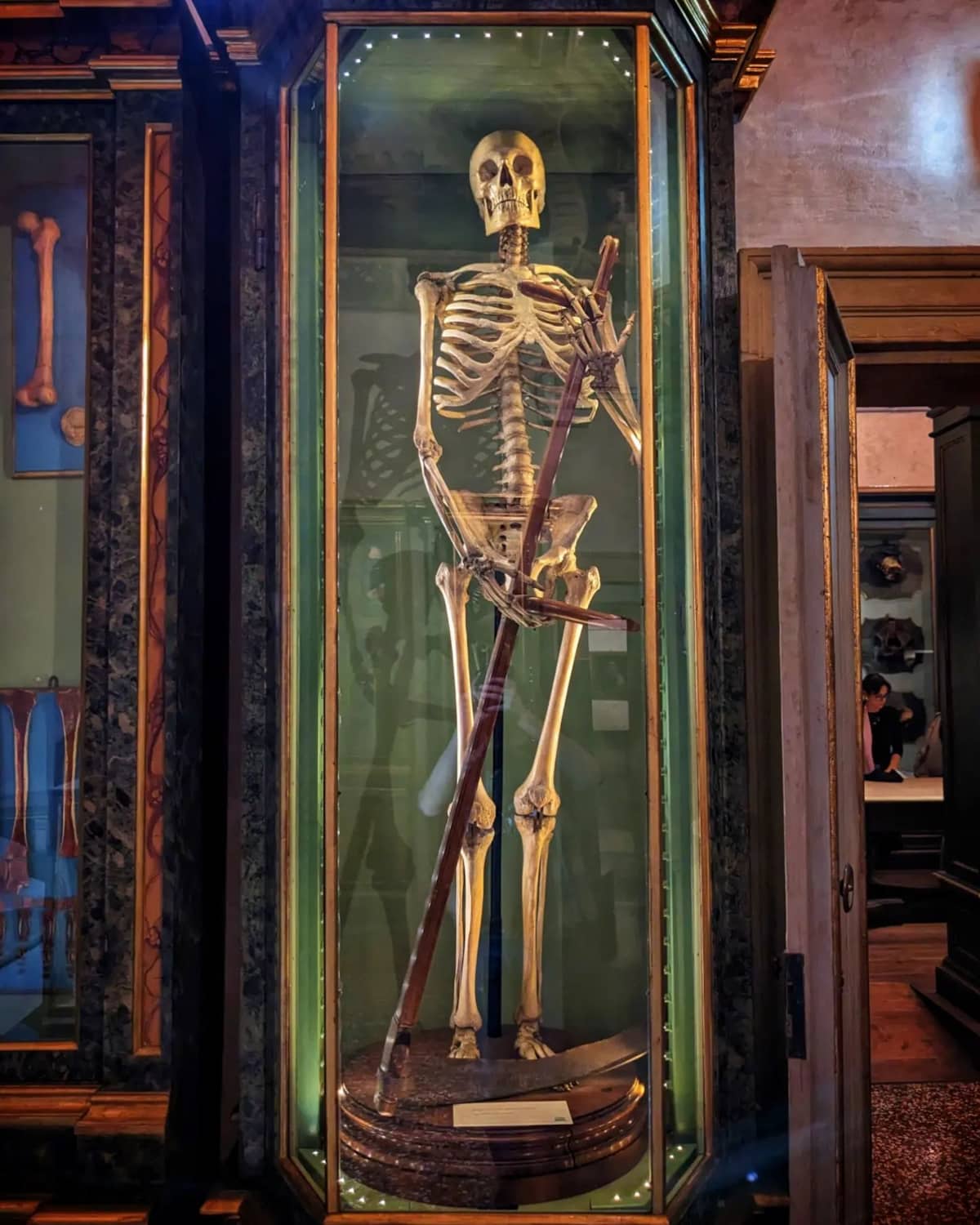 University District Bologna