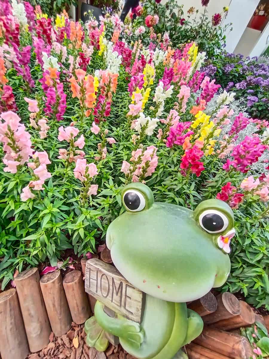 Parco forestale di Daan, Taipei