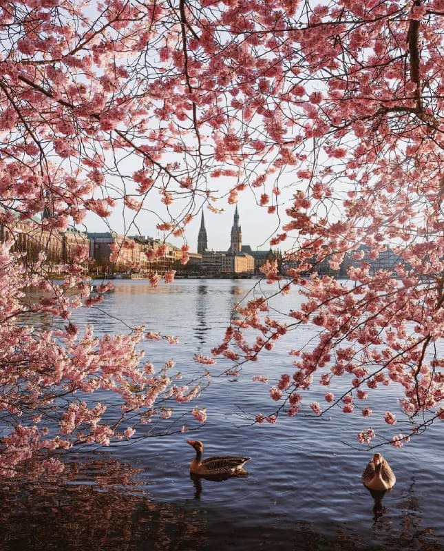 Amburgo, Germania Amburgo, Germania