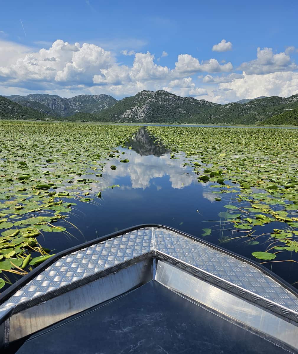 Lago di Skadar, Montenegro Lago di Skadar, Montenegro