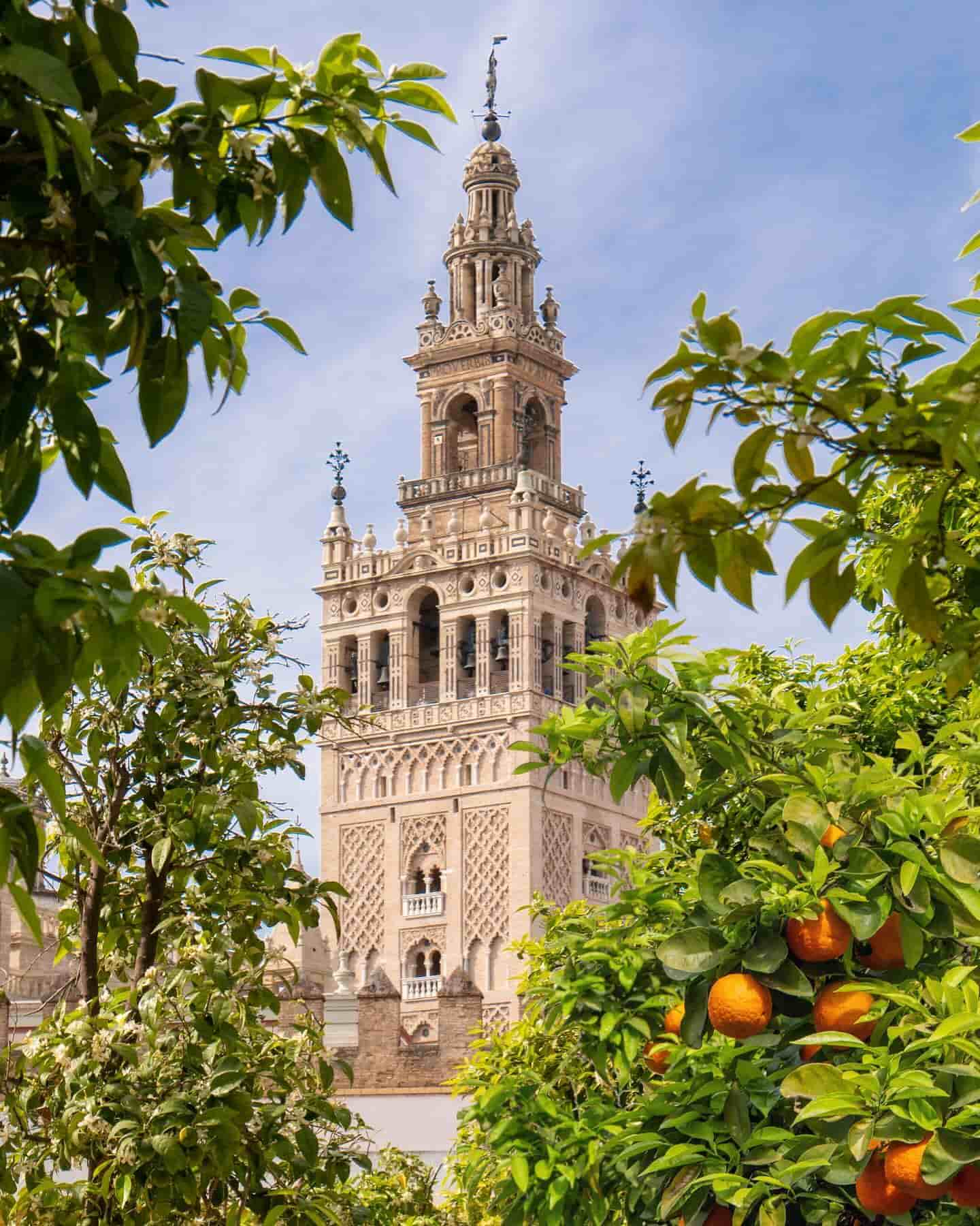 Cattedrale di Siviglia, Spagna Cattedrale di Siviglia, Spagna