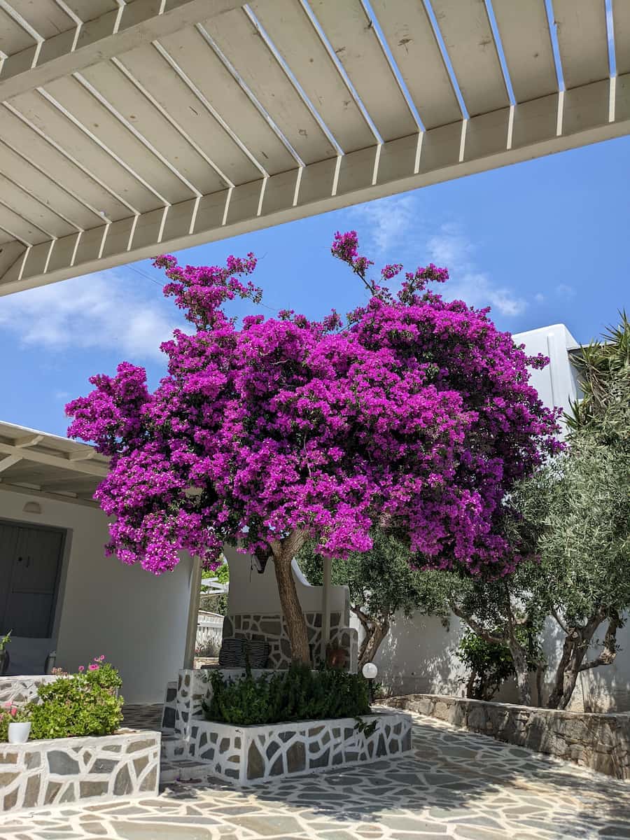 Aliki, Paros Aliki, Paros