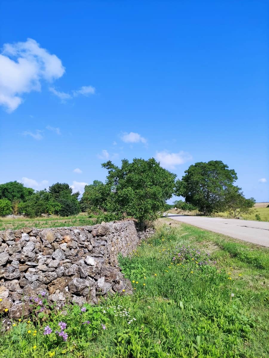 Andria, Puglia Andria, Puglia