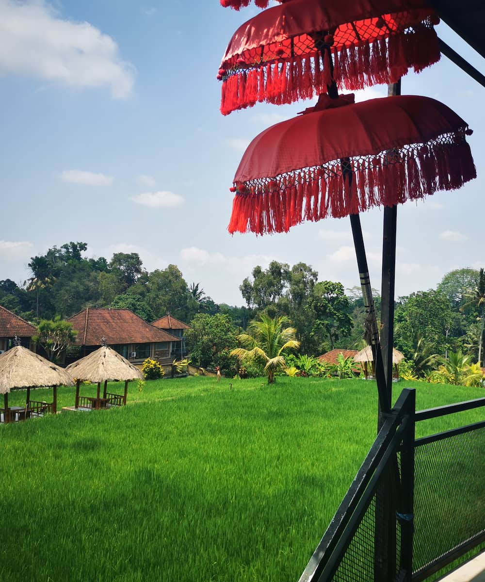 Campuhan _Bali (15) Campuhan, Bali