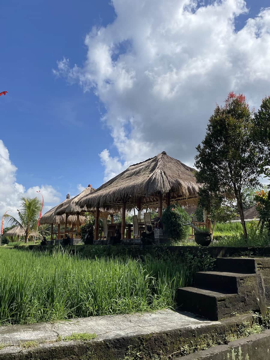 Campuhan _Bali (20) Campuhan, Bali