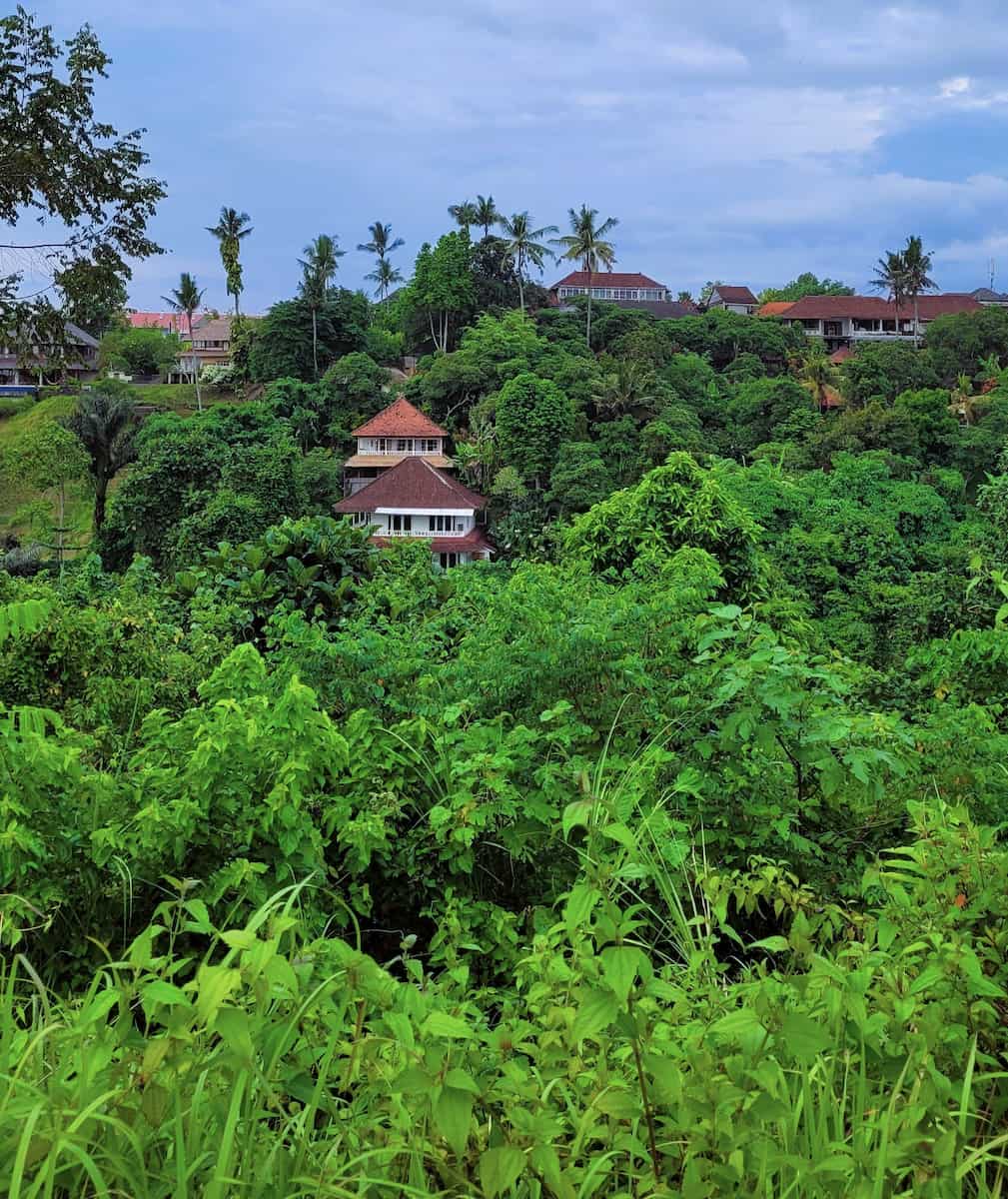 Campuhan _Bali (21) Campuhan, Bali