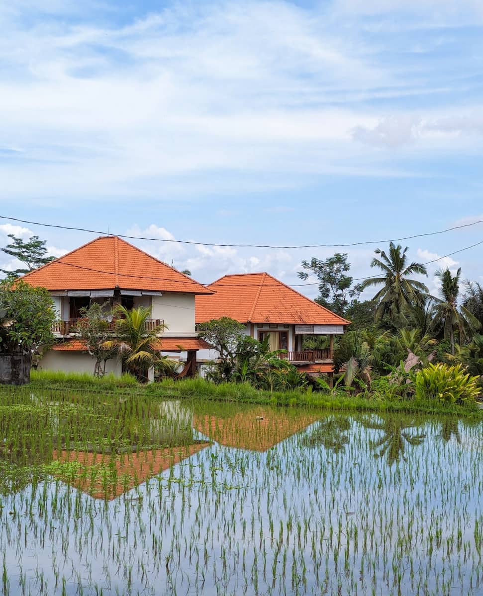 Campuhan_Bali (2) Campuhan, Bali