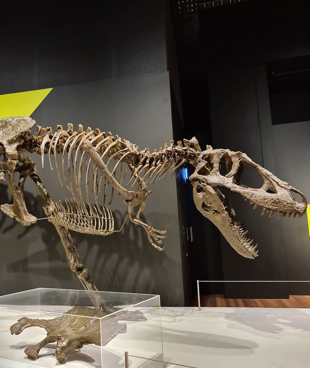 Central Business District, Sydney Central Business District, Sydney