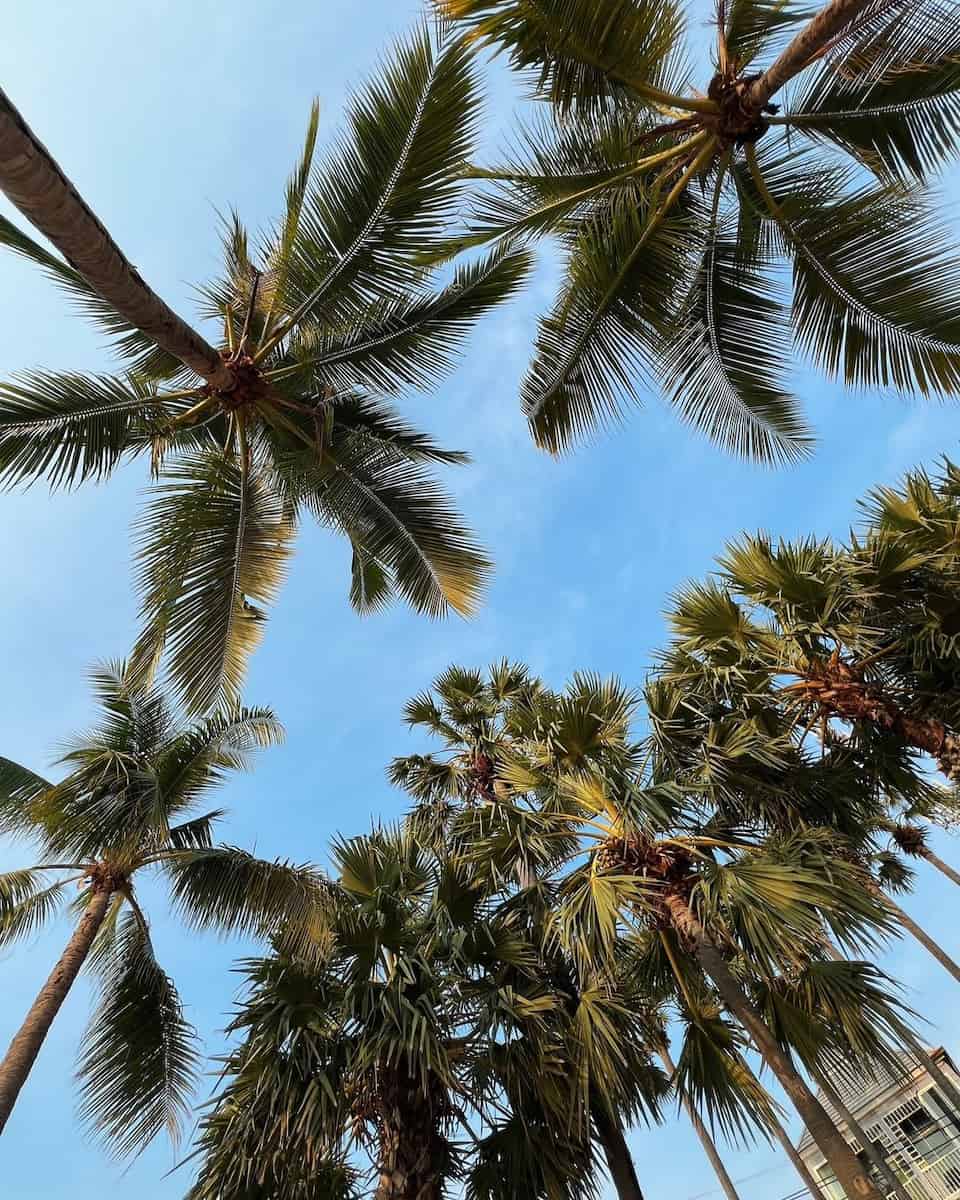 Jomtien_Beach_Pattaya (15) Jomtien Beach, Pattaya