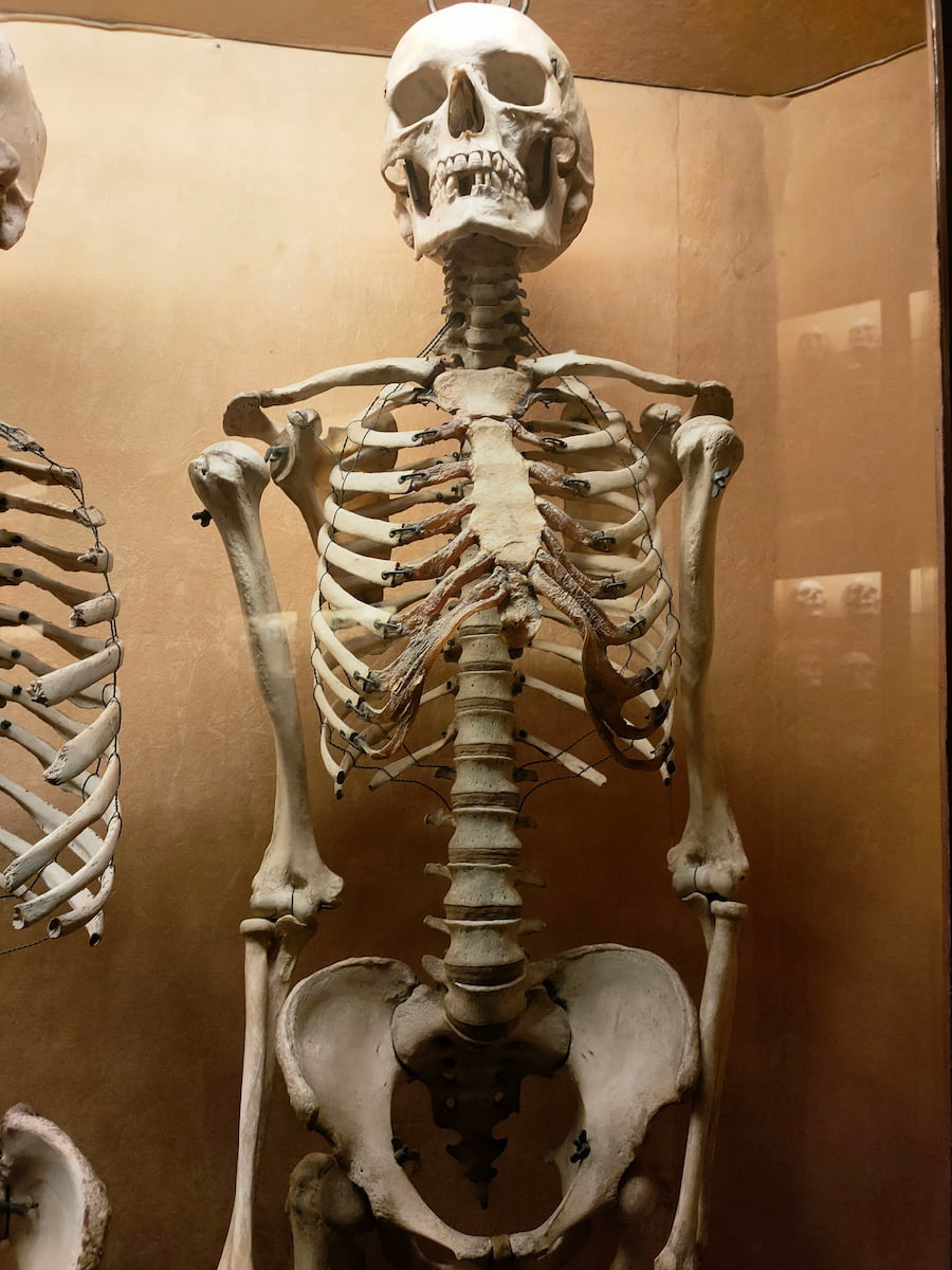 Las_Palmas_Gran_Canaria (4) Las Palmas, Gran Canaria