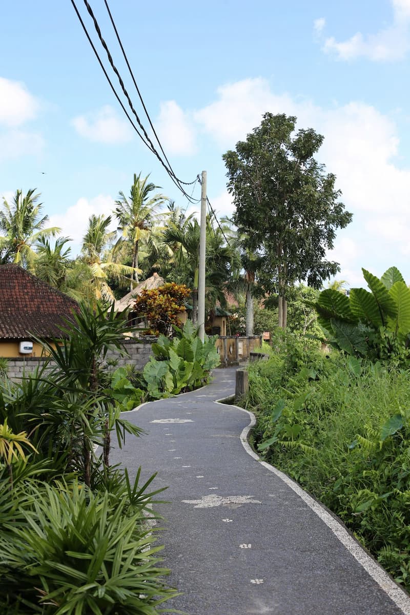 NyuhKuning, Ubud NyuhKuning, Ubud