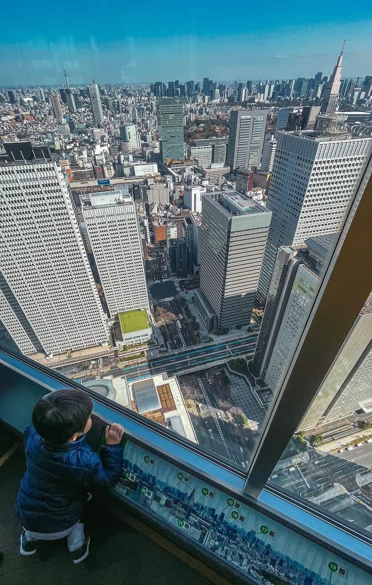 West_Shinjuku (6) West Shinjuku