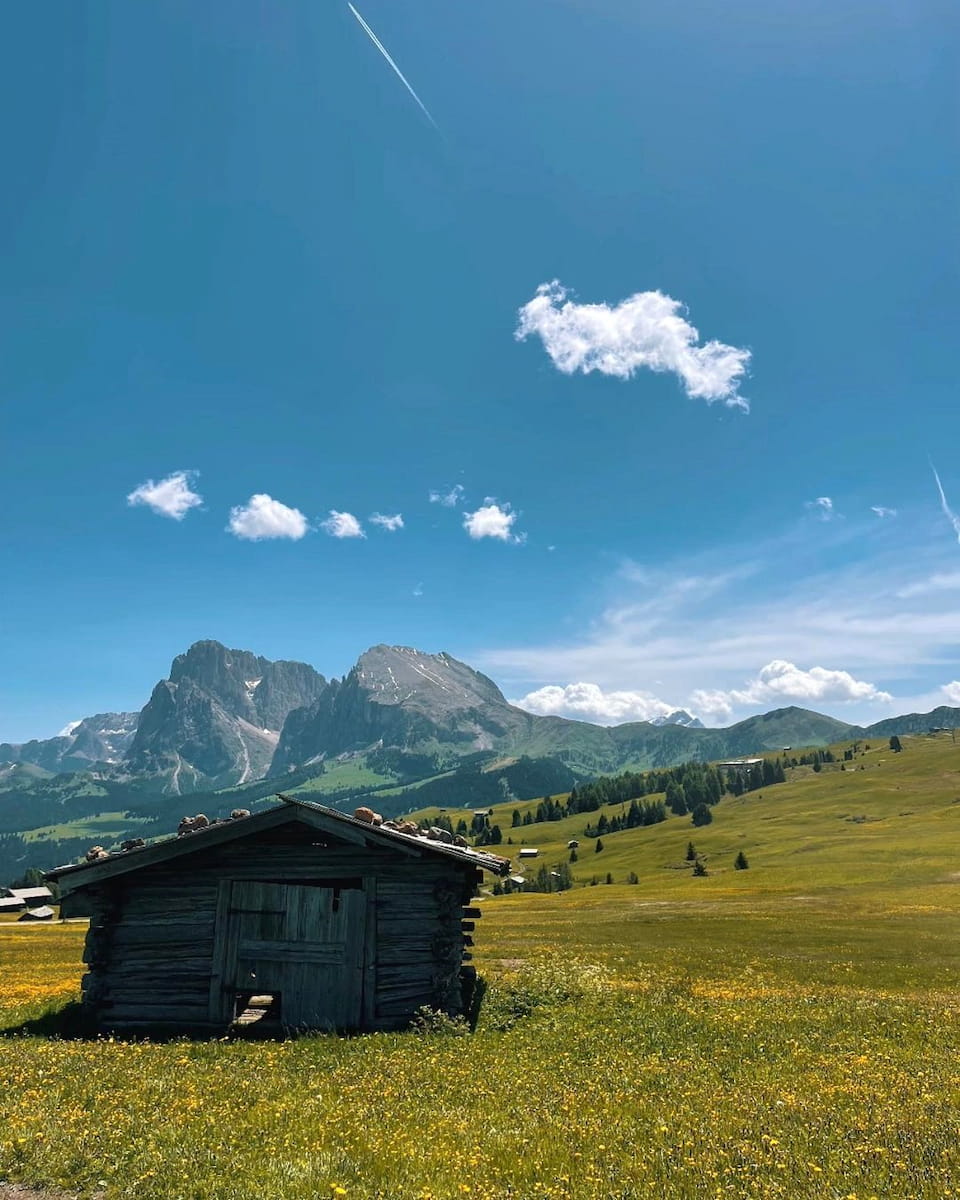 Alpe di Siusi, Dolomites Alpe di Siusi, Dolomites
