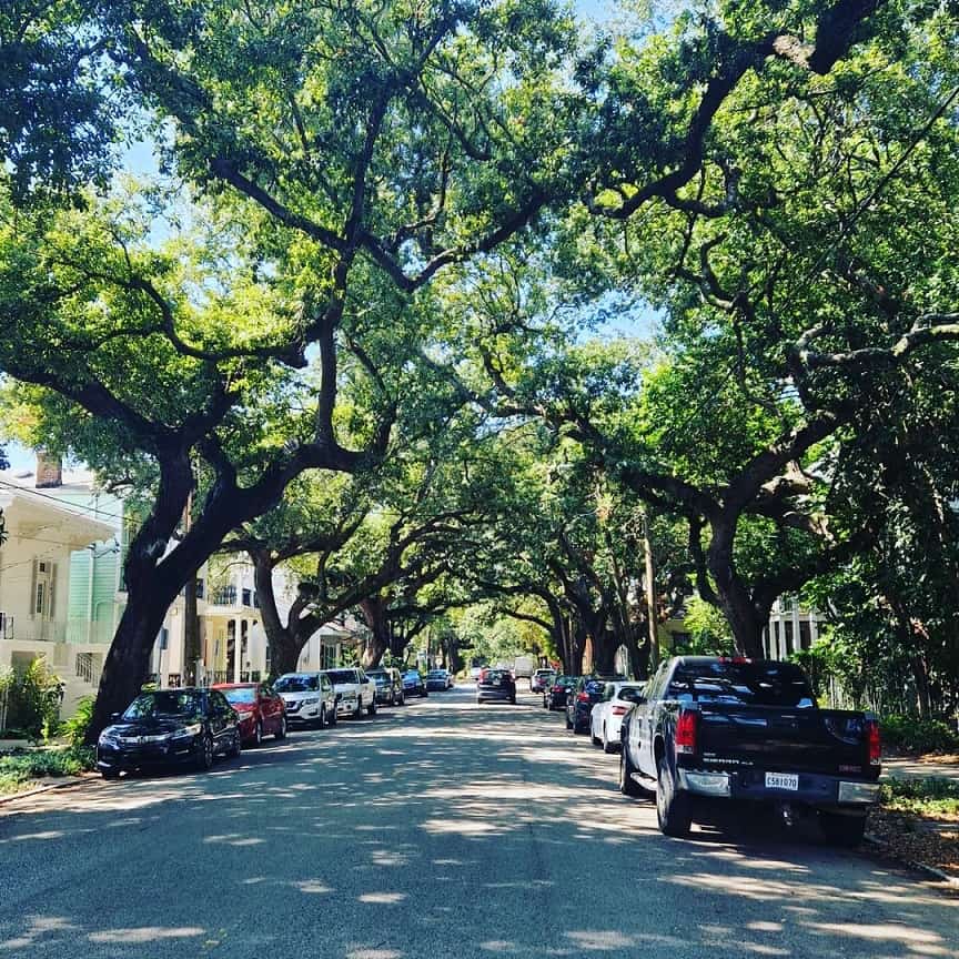 Garden District