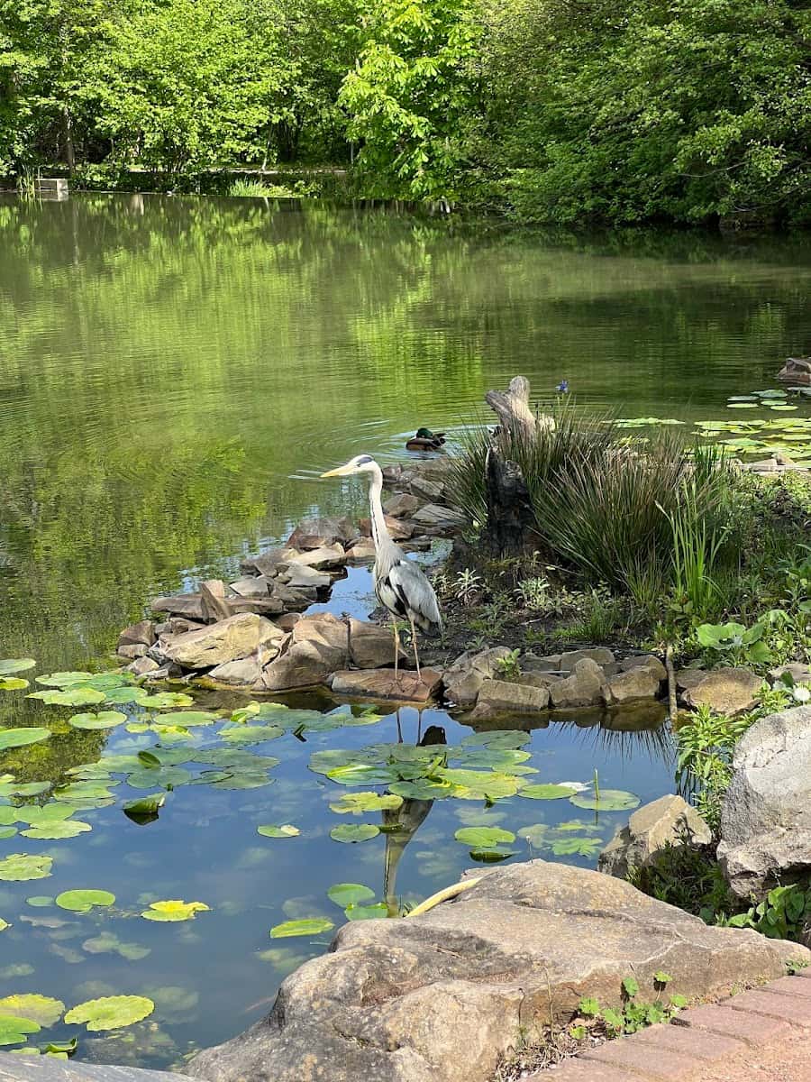 Botanical Garden Botanical Garden