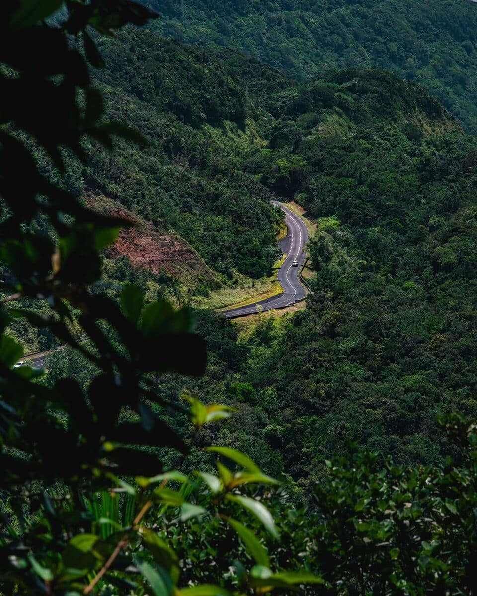 Deshaies Botanical Garden Deshaies Botanical Garden