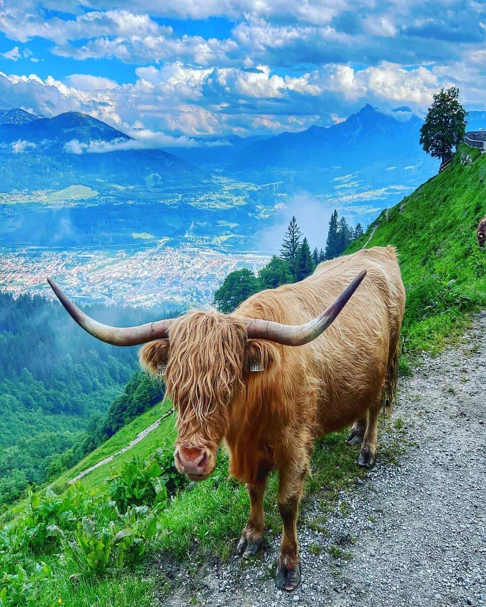 Innsbruck, Hötting Innsbruck, Hötting