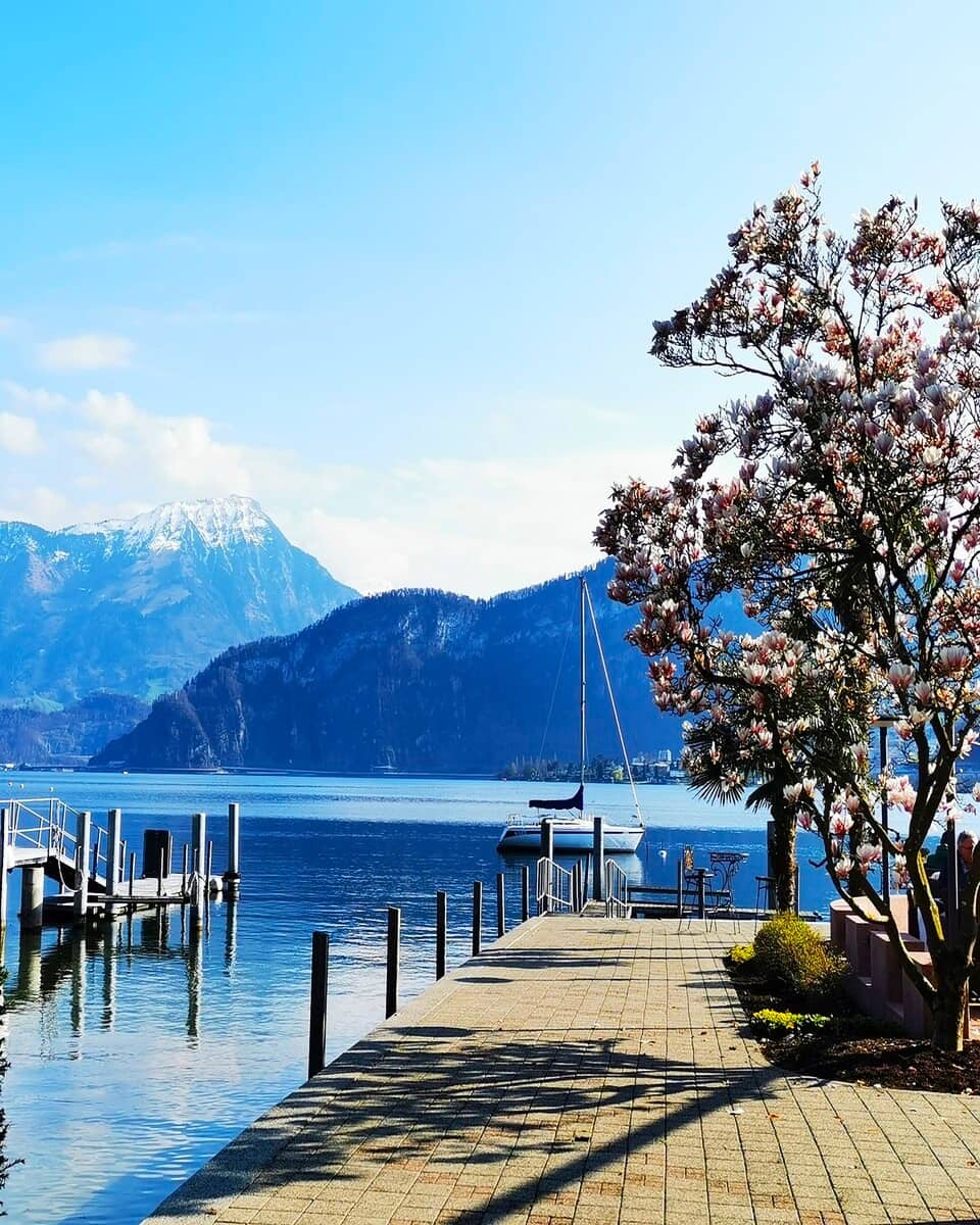 Lucerne, Horw Lucerne, Horw