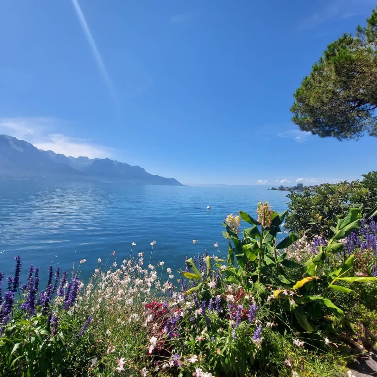 Montreux Lake Geneva Switzerland Montreux Lake Geneva Switzerland