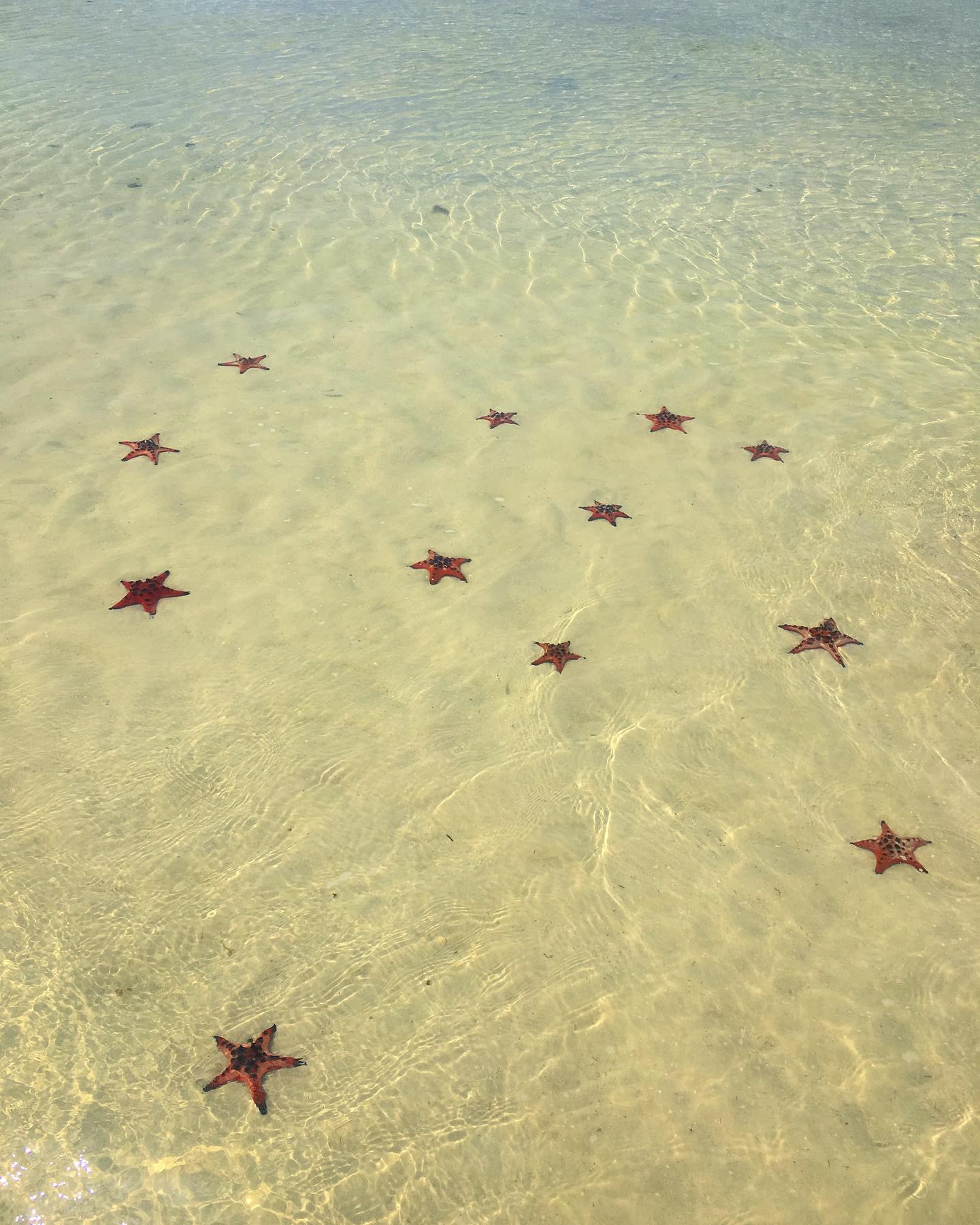 Panama, Bocas del Toro Panama, Bocas del Toro