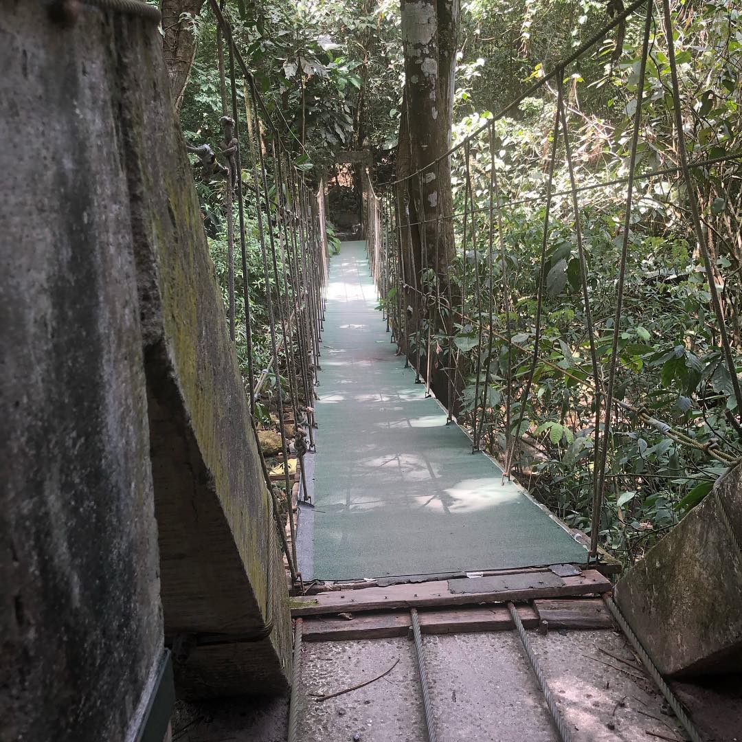 Panama, El Valle de Anton: El Nispero Zoo Panama, El Valle de Anton: El Nispero Zoo