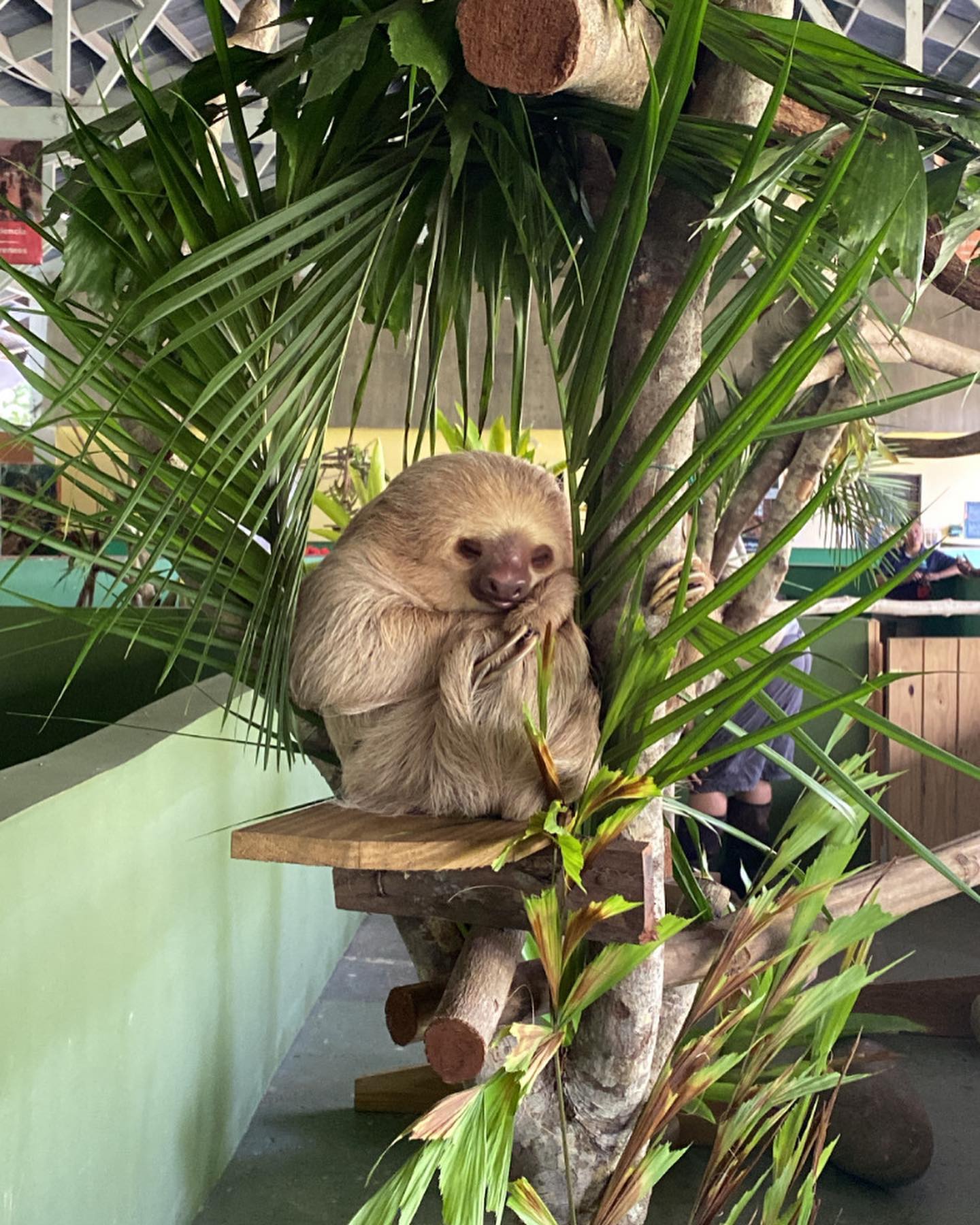 Panama, Gamboa Panama, Gamboa