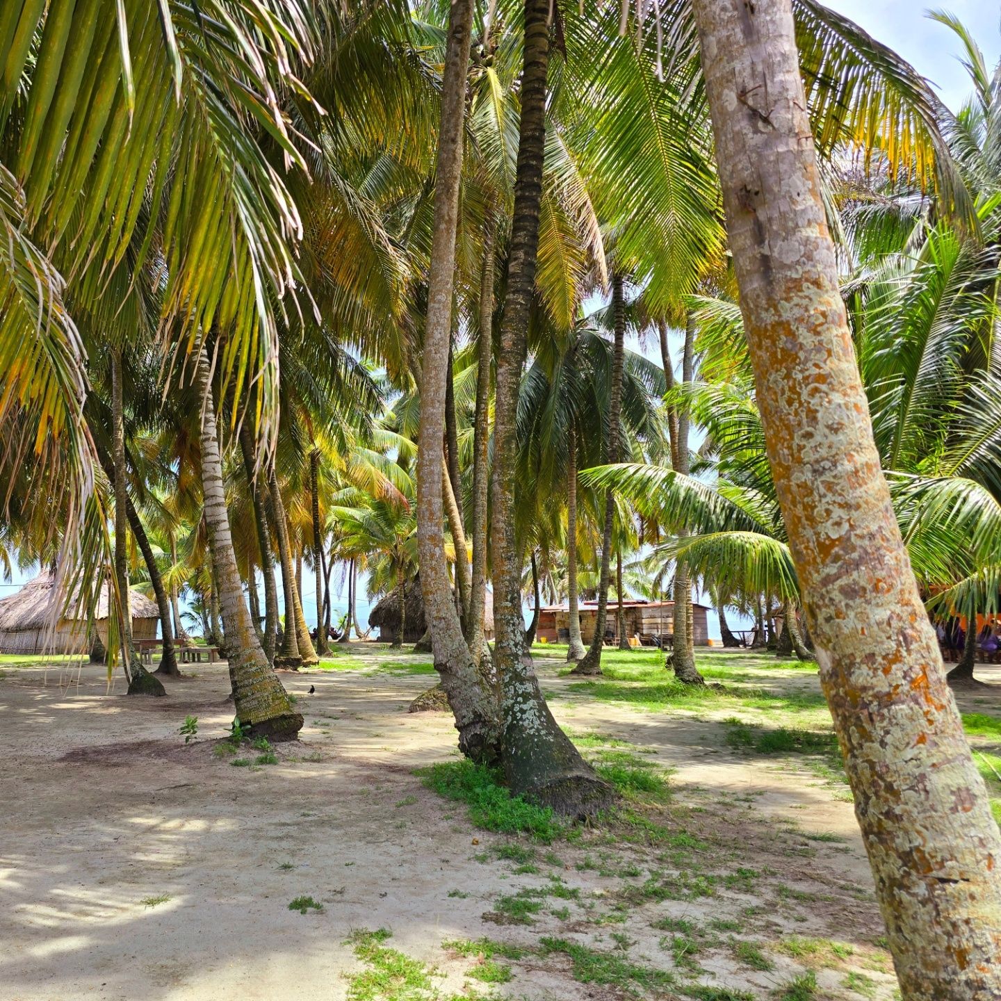 Panama, San Blas Islands Panama, San Blas Islands