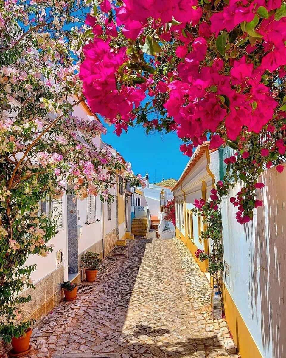 Portugal, Algarve Portugal, Algarve