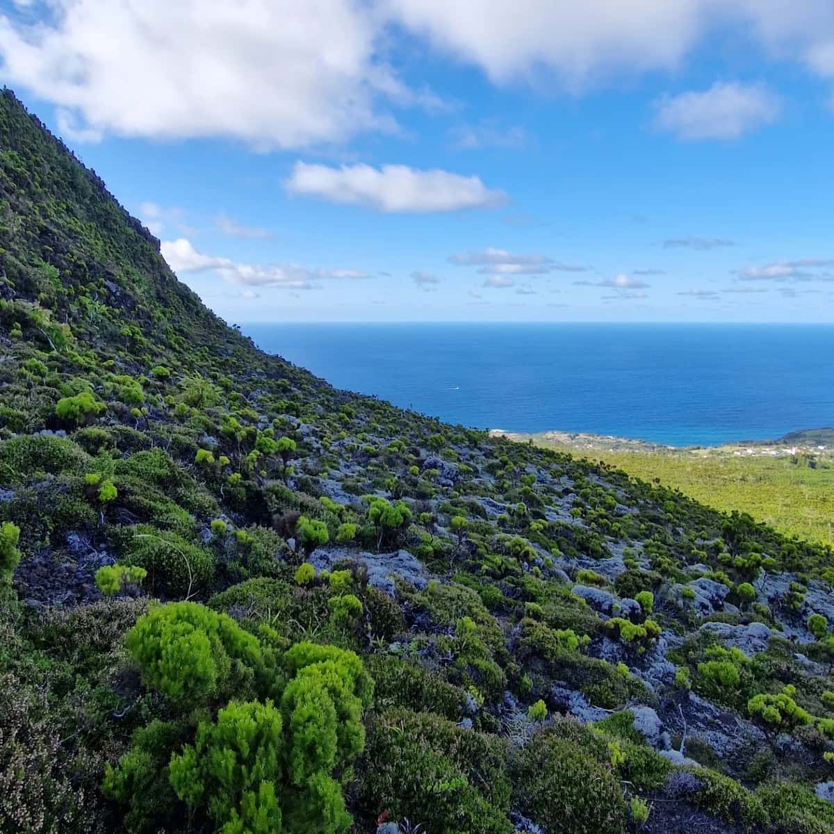 Portugal, Azores: Faial Island Portugal, Azores: Faial Island