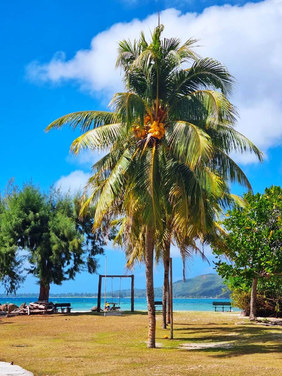 SSeychelles, Anse Lazio Seychelles, Anse Lazio