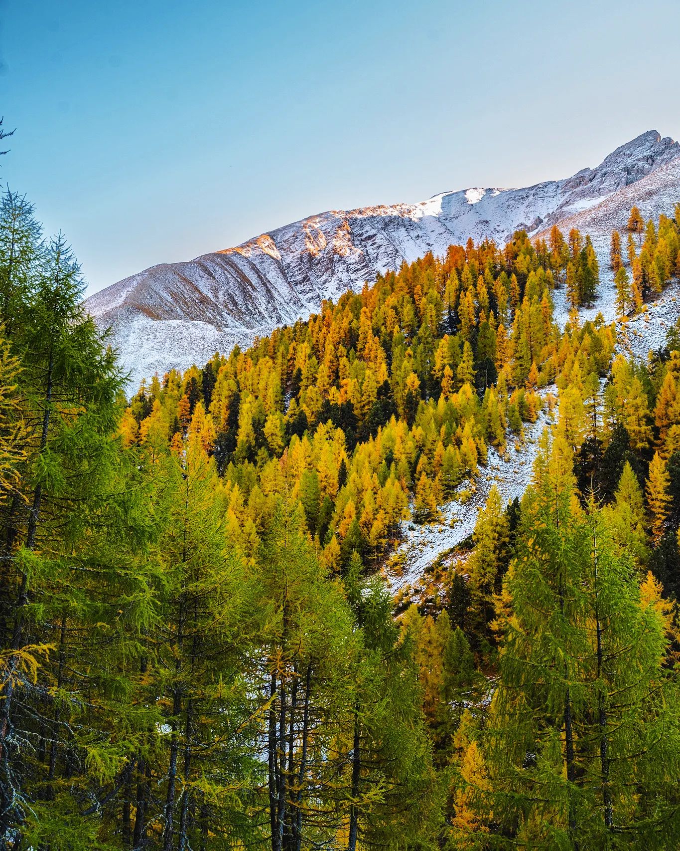 Val Trupchun Swiss National Park Switzerland Val Trupchun Swiss National Park Switzerland