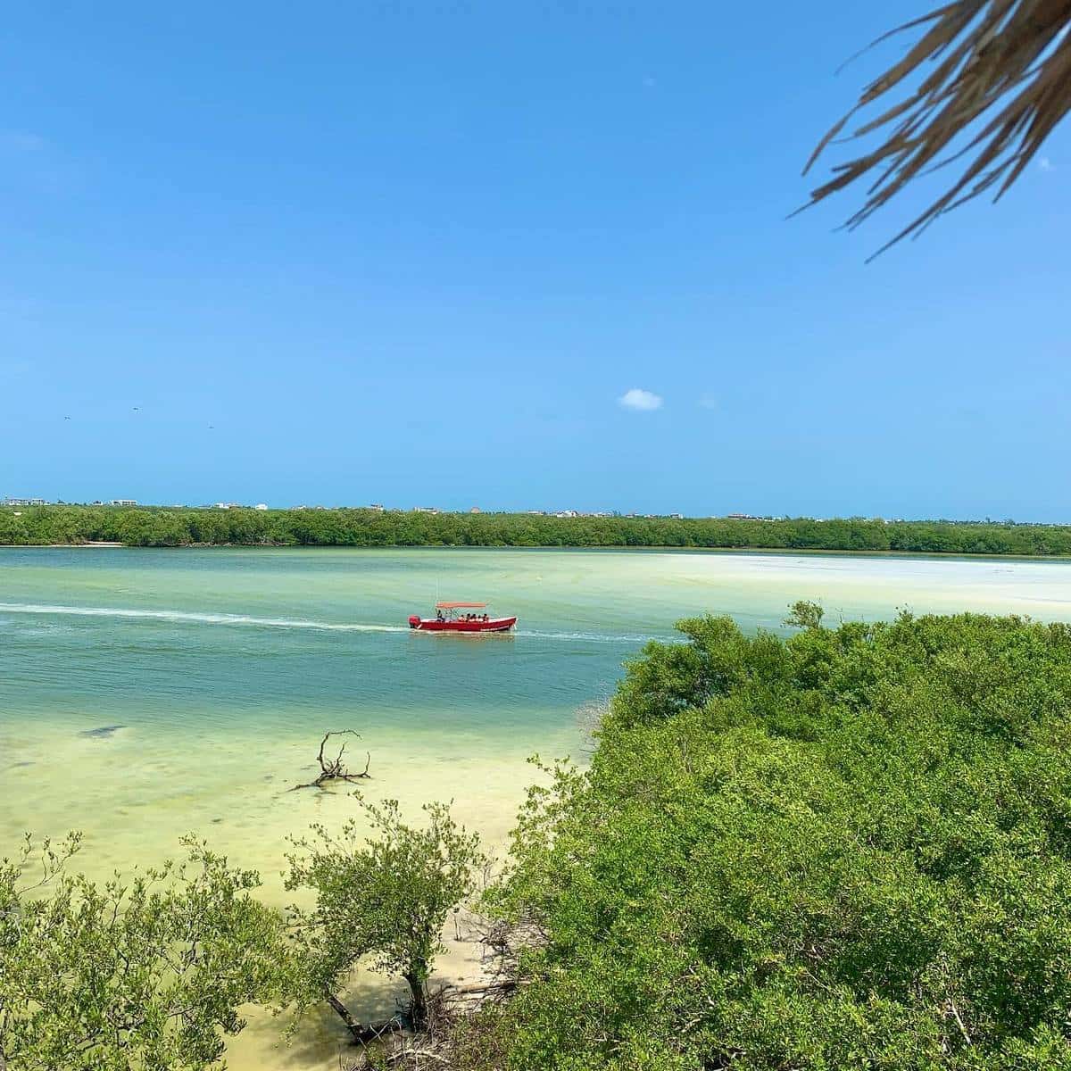 Yum Balam Nature Reserve, Isla Holbox Yum Balam Nature Reserve, Isla Holbox