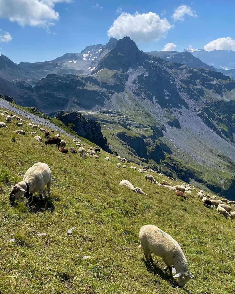 Zermatt, Schwarzsee Zermatt, Schwarzsee