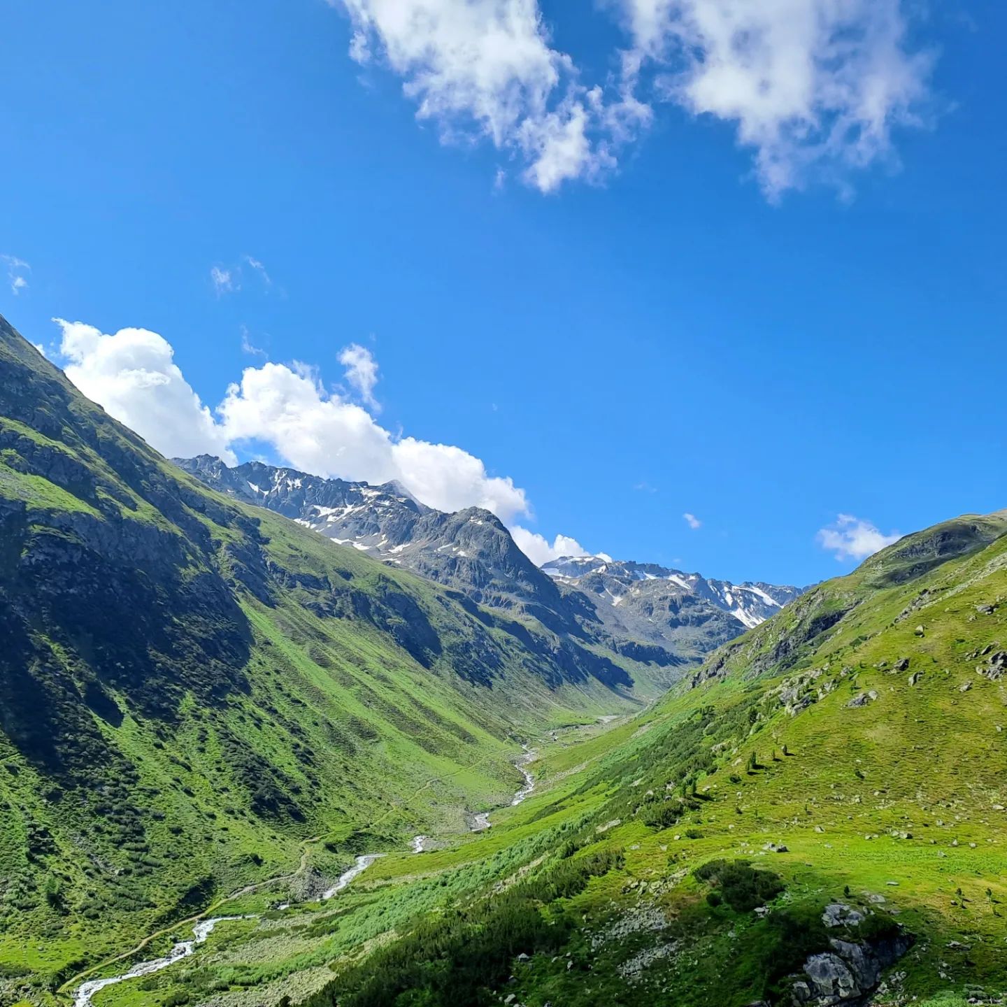 Zernez Swiss National Park Switzerland Zernez Swiss National Park Switzerland