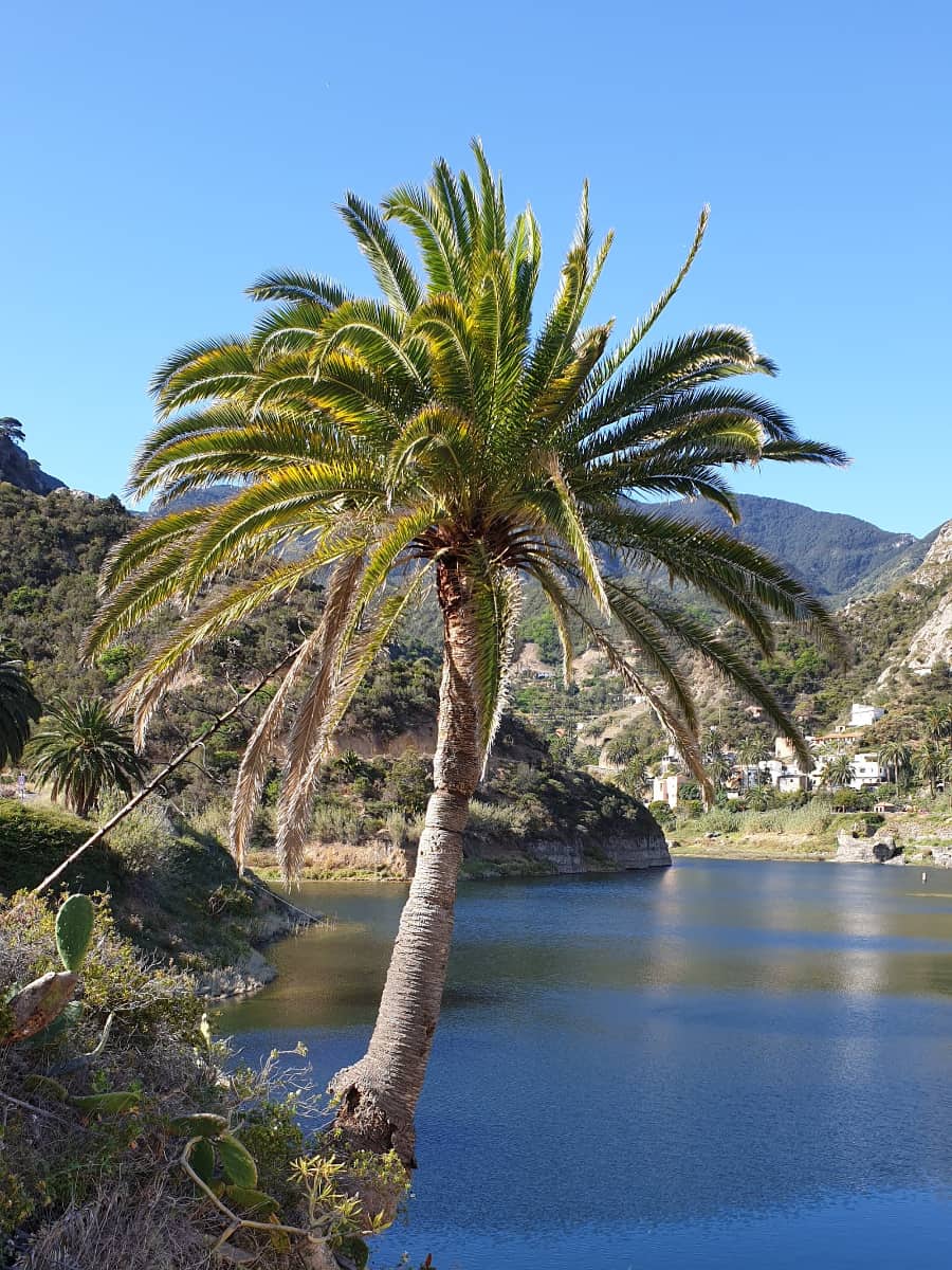 Alajeró, La Gomera Alajeró, La Gomera