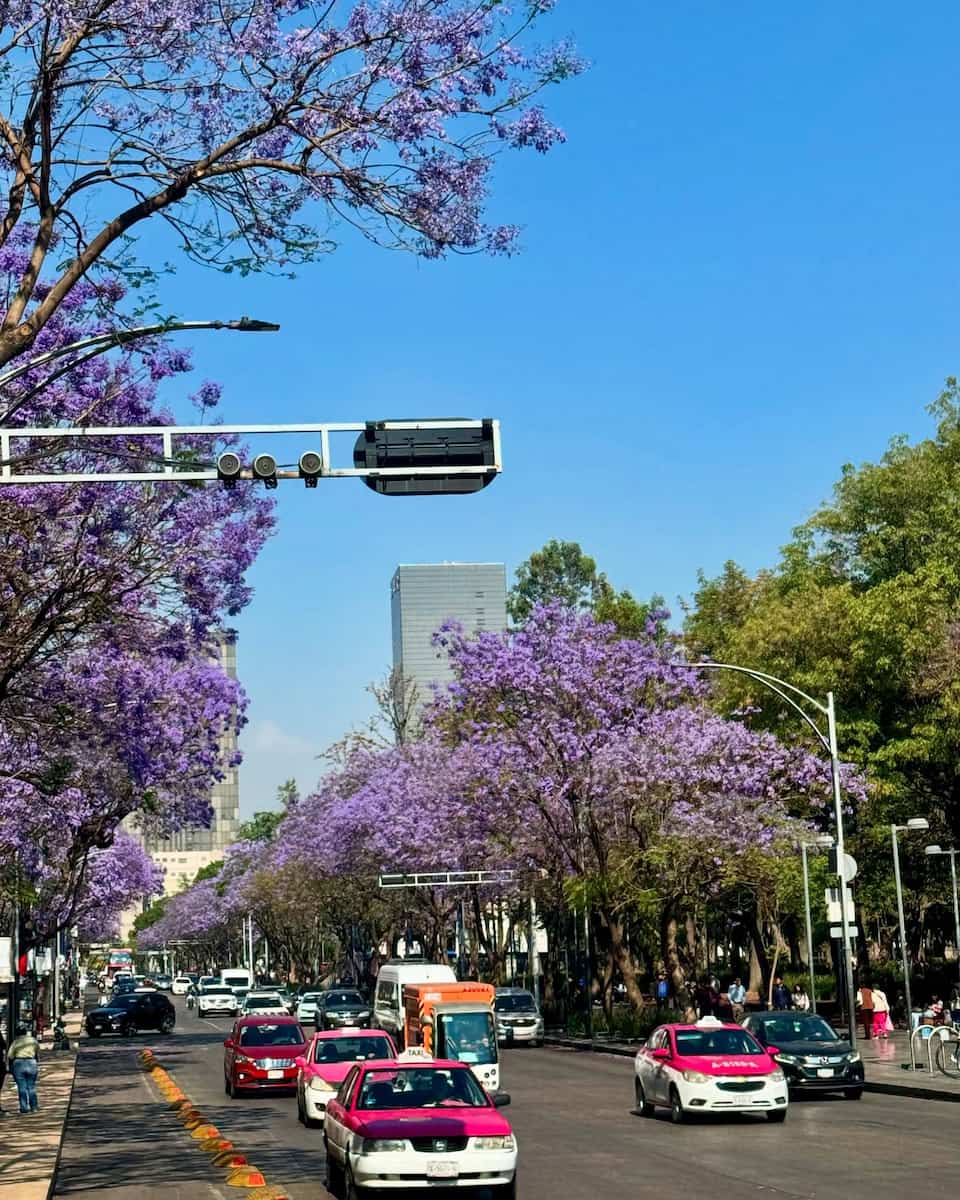 Bacalar City Center Bacalar City Center