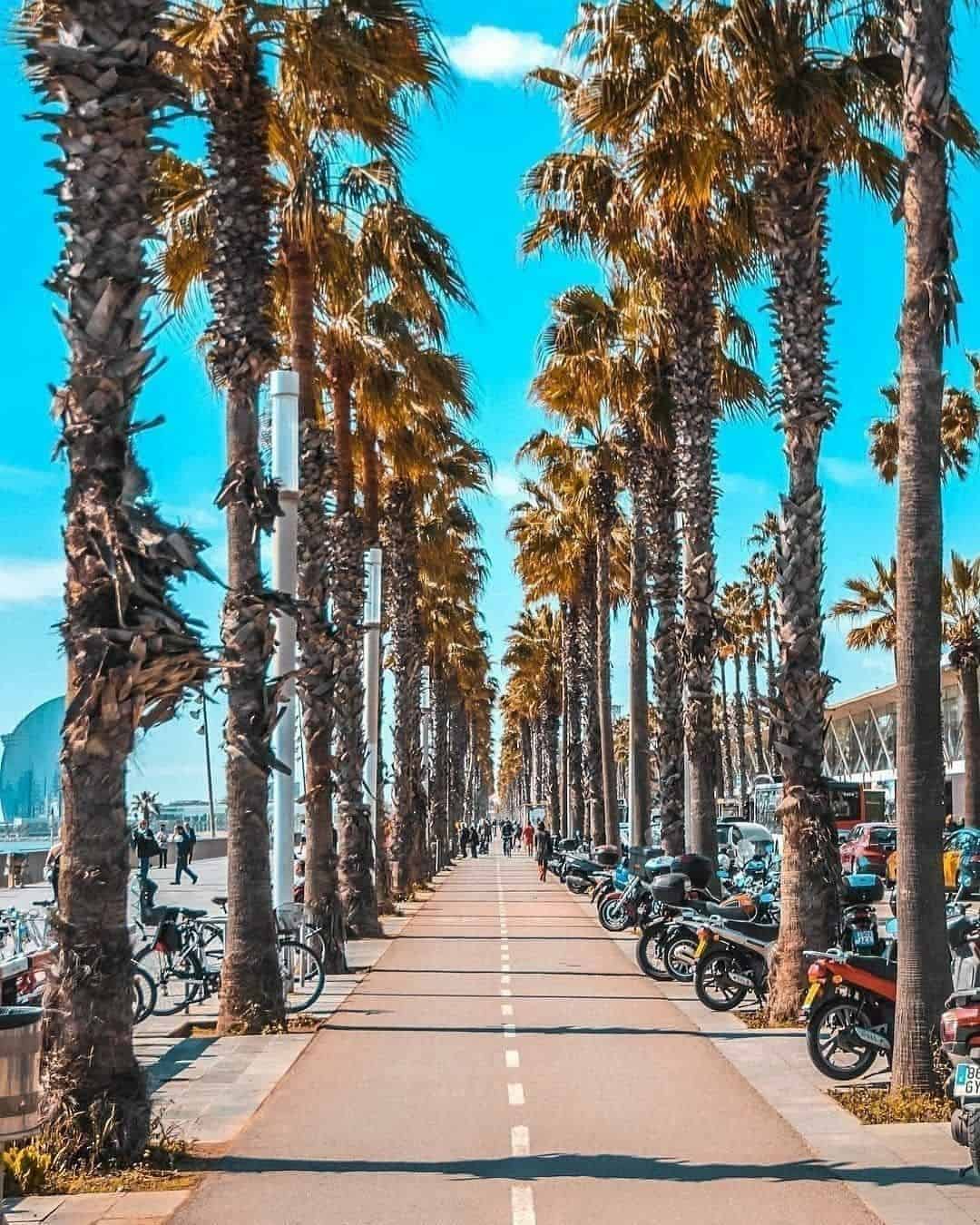 Barcelona, Spain Barcelona, Spain