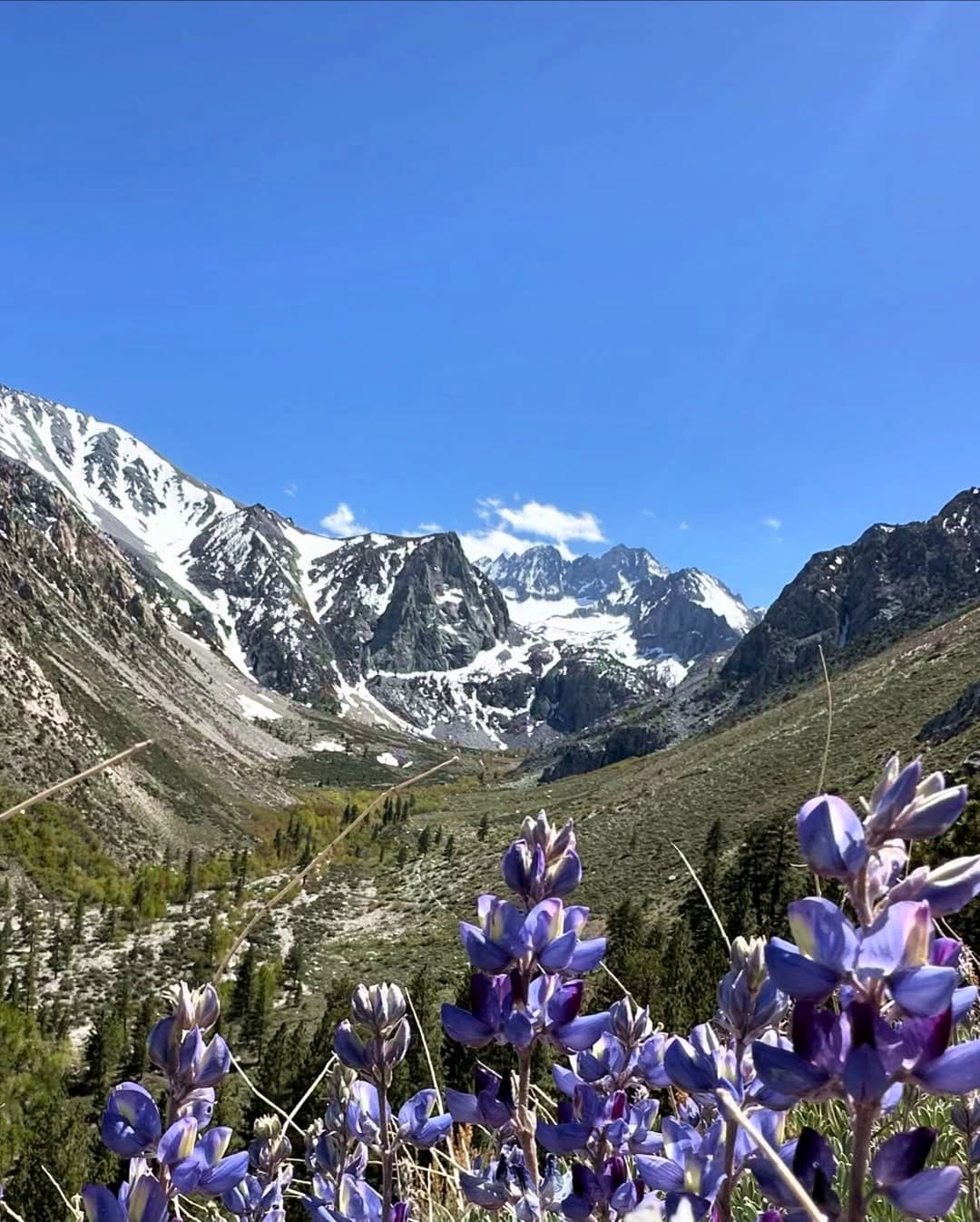 Bishop, California, Death Valley National Park Bishop, California, Death Valley National Park