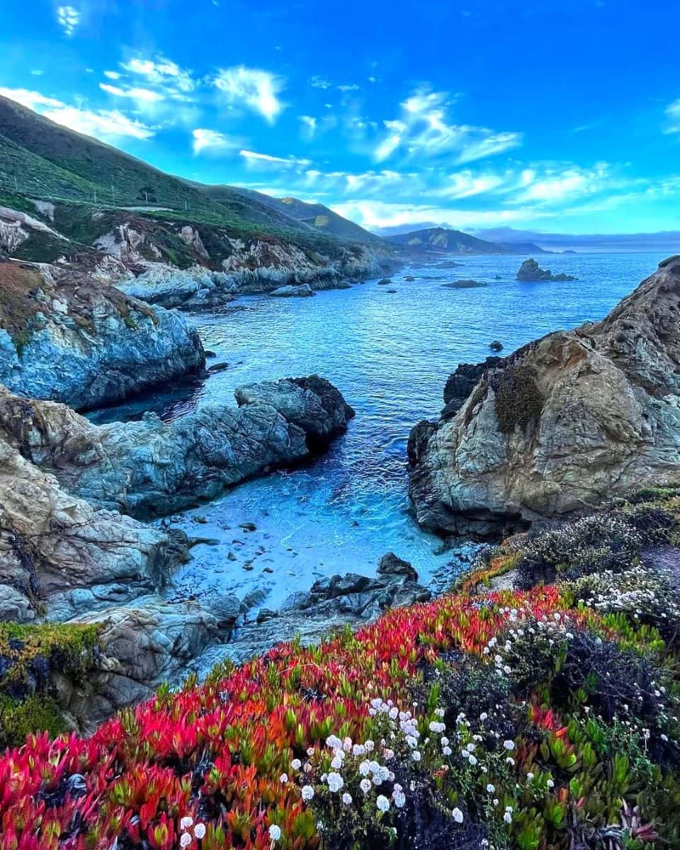 Cannery Row Cannery Row