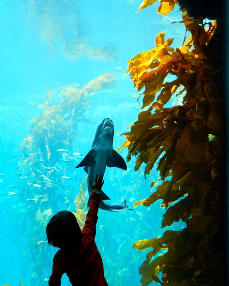 Carmel-by-the-Sea Carmel-by-the-Sea