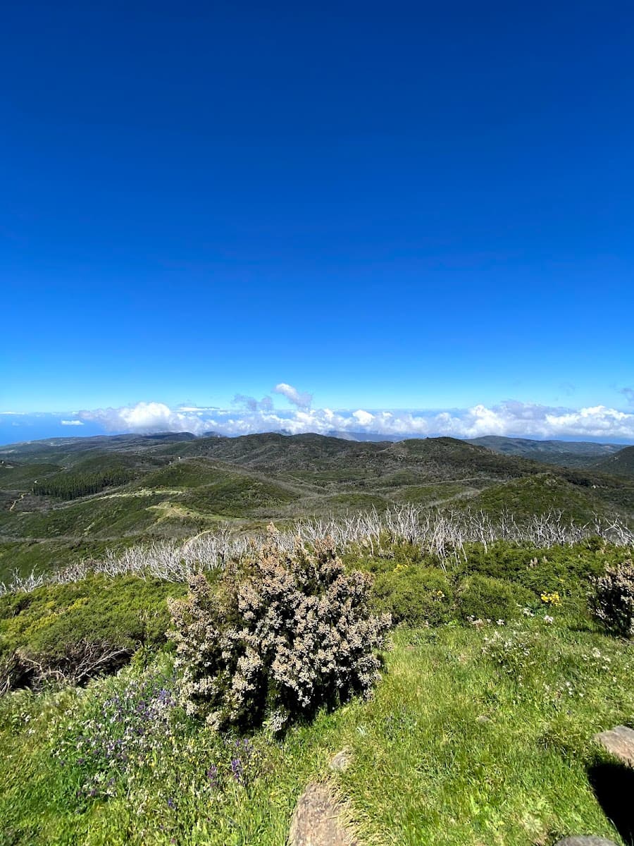 Garajonay National Park, La Gomera Garajonay National Park, La Gomera