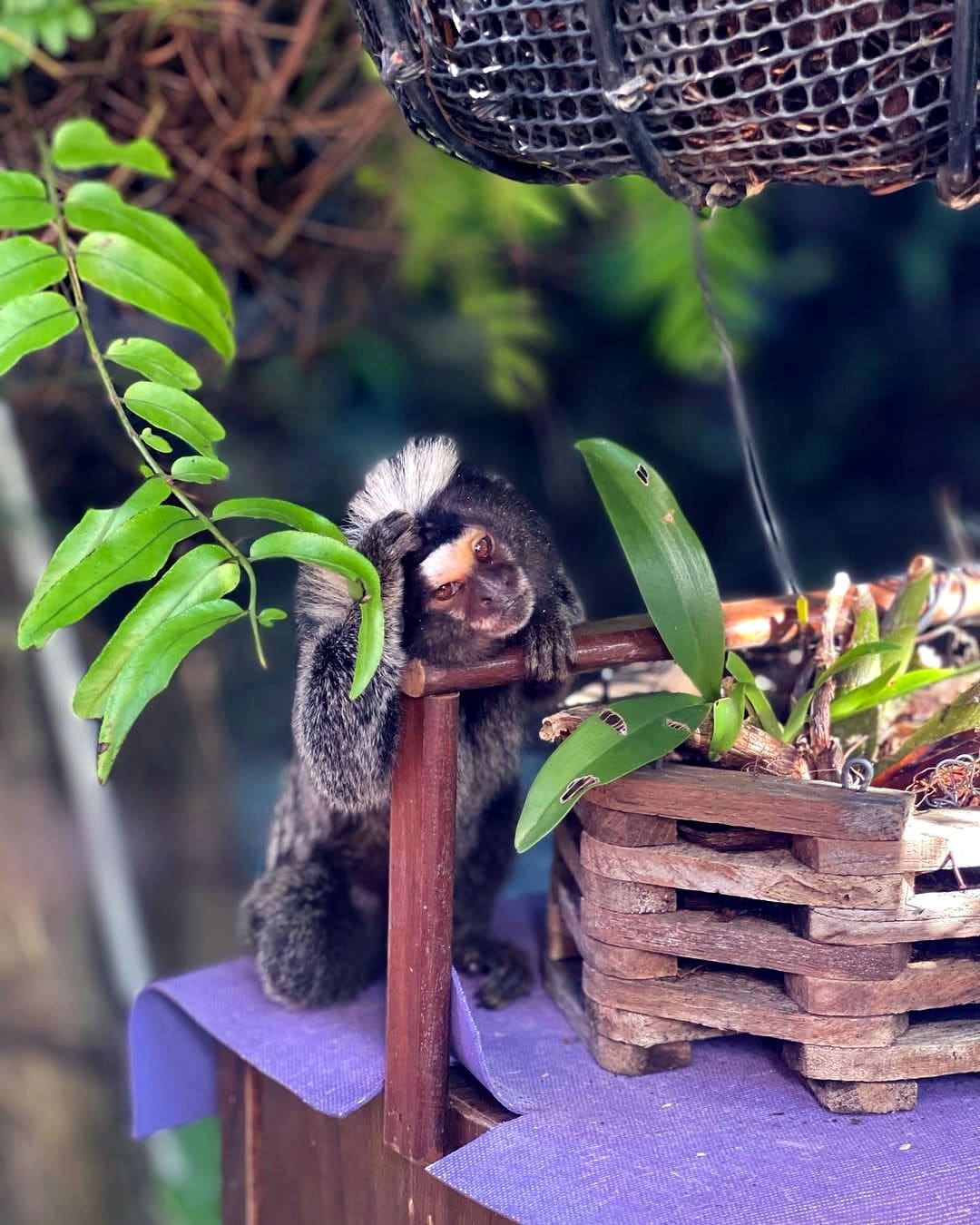 Klong Nin Beach, Koh Lanta Klong Nin Beach, Koh Lanta