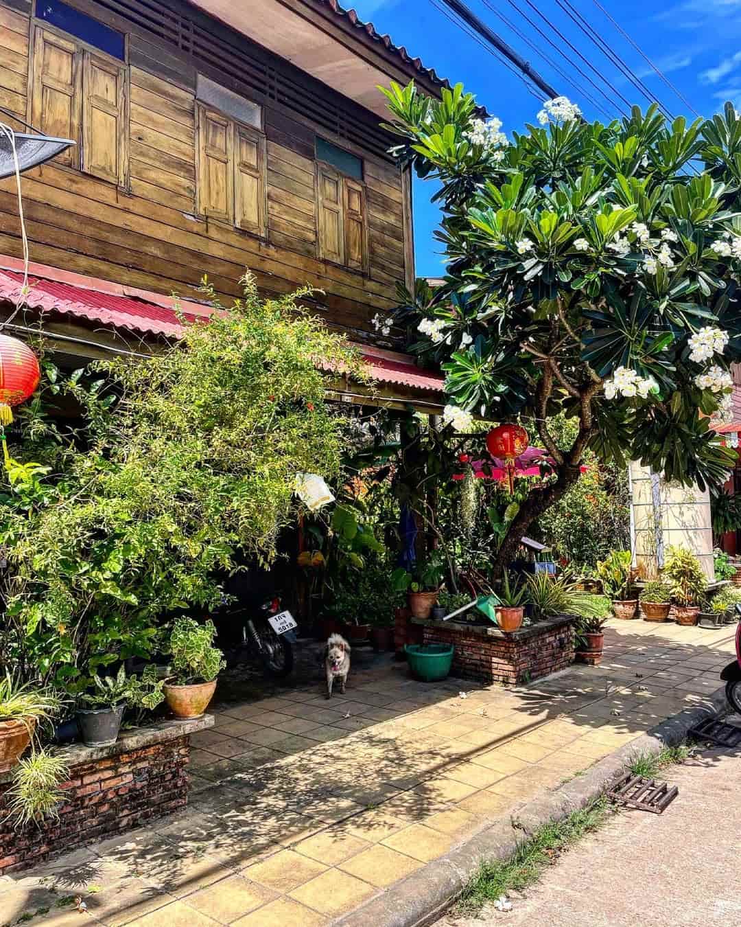 Koh Lanta Old Town Koh Lanta Old Town