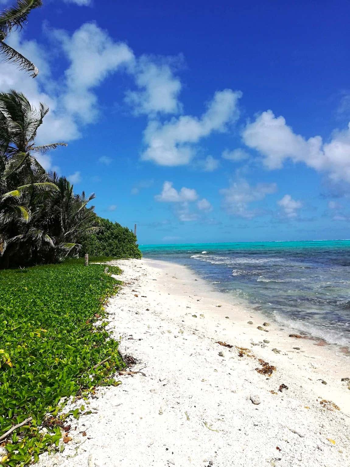 La Loma San Andres La Loma San Andres